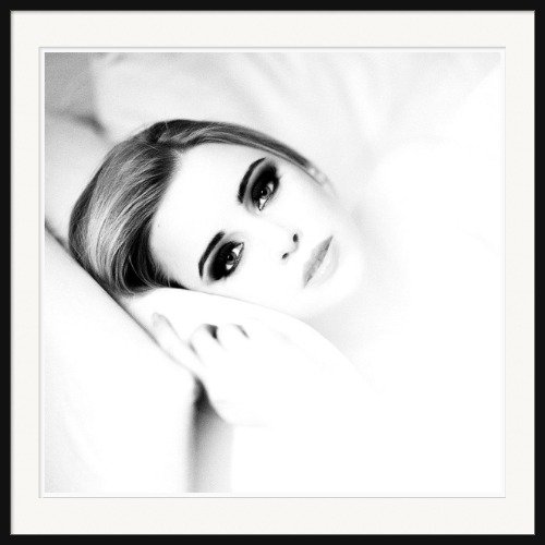 Collection "DOMINANT"